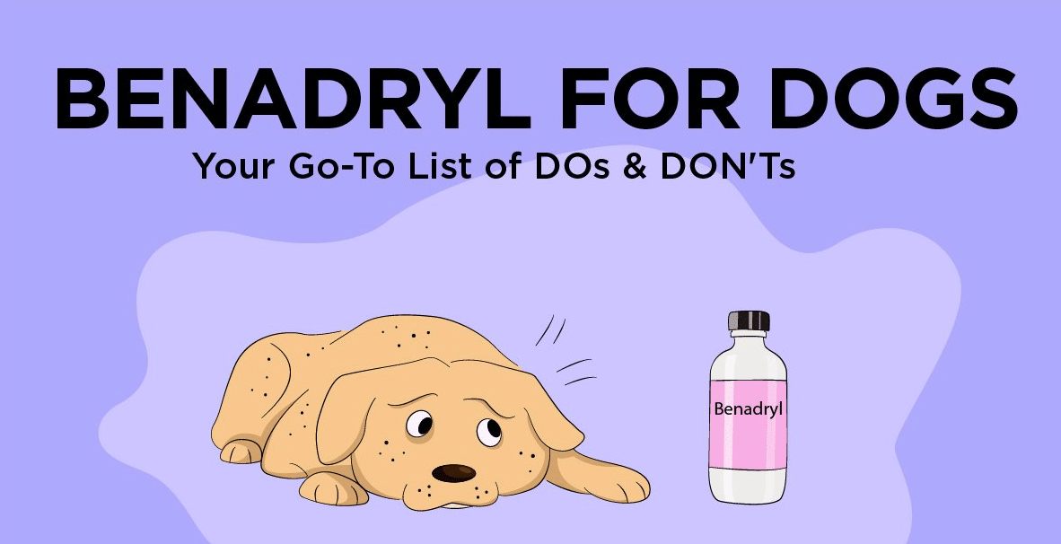 benadryl for dogs