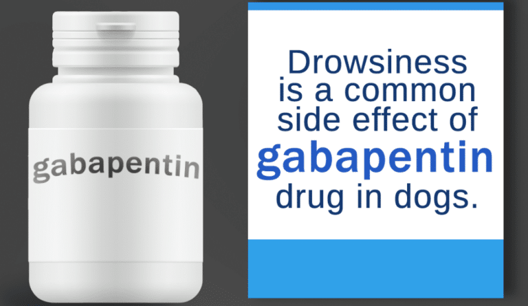 gabapentin dosage for 17lb dog