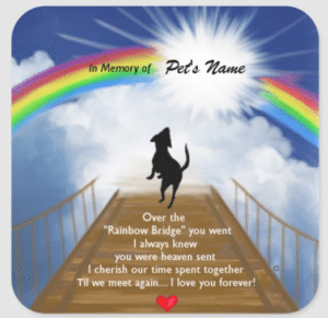 The Rainbow Bridge Poem - PetRefine