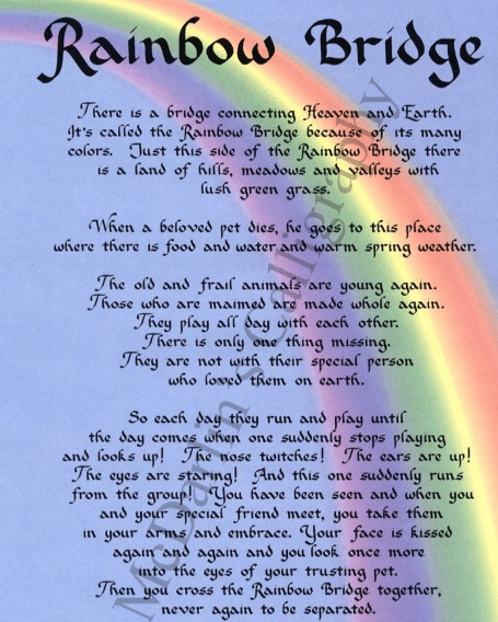 The Rainbow Bridge Poem Petrefine