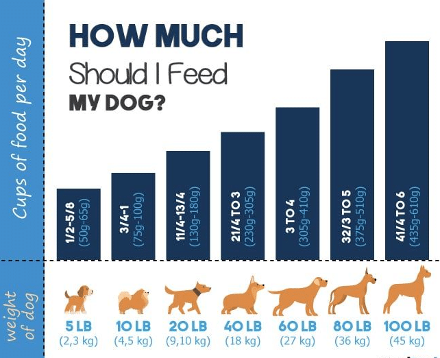 how much dry dog food to feed dog