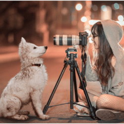 hiring pet photographers