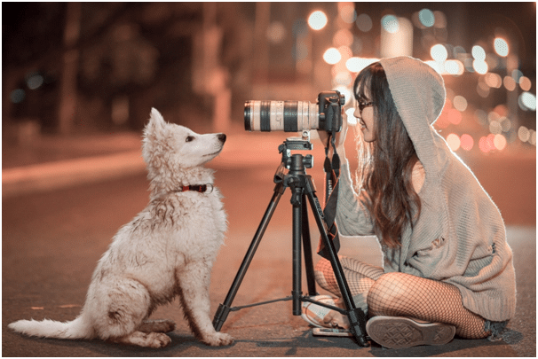 hiring pet photographers