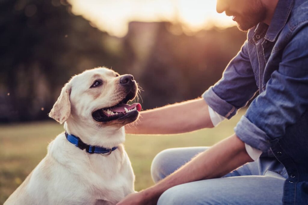 A Healthy Dog