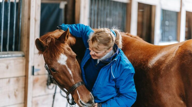 These Animals Are The Friendliest To Humans