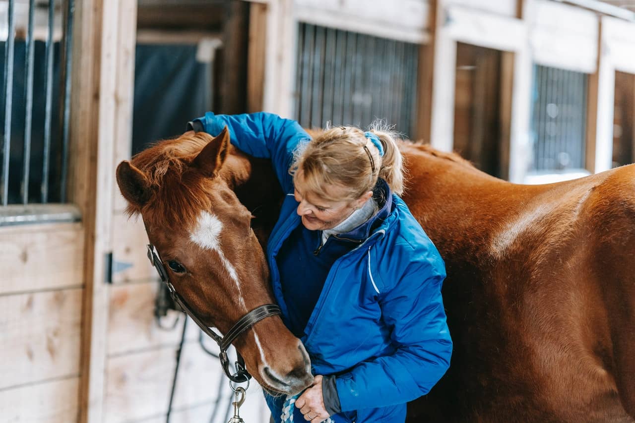 These Animals Are The Friendliest To Humans